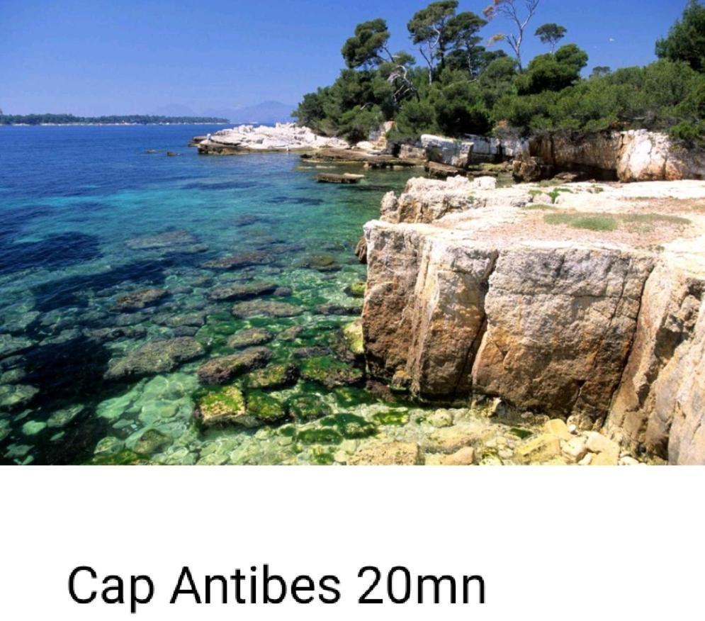 Bel Appartement Les Pieds Dans L'Eau Villeneuve-Loubet Exterior foto
